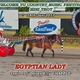 Welcome to Country Music Mini Trot - 18 January 2017 Race 1
