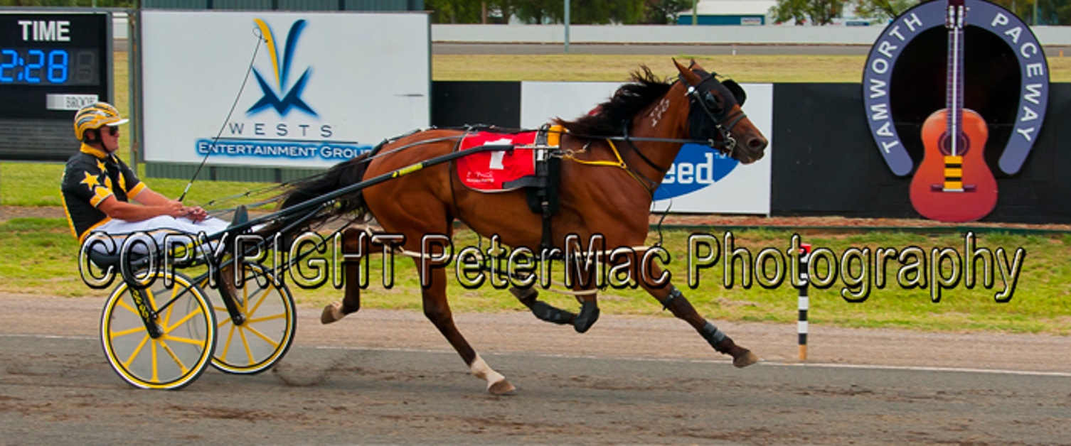 Gottaluva Sunday wins Vale Margaret Ford Pace 4th February 2016 by Julie Maughan