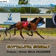 Gottaluva Sunday wins Vale Margaret Ford Pace 4th February 2016 by Julie Maughan