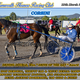 Race Meeting Report Thursday 19th March 2020
