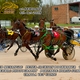 Race Meeting Report Thursday 4th October at Armidale Paceway