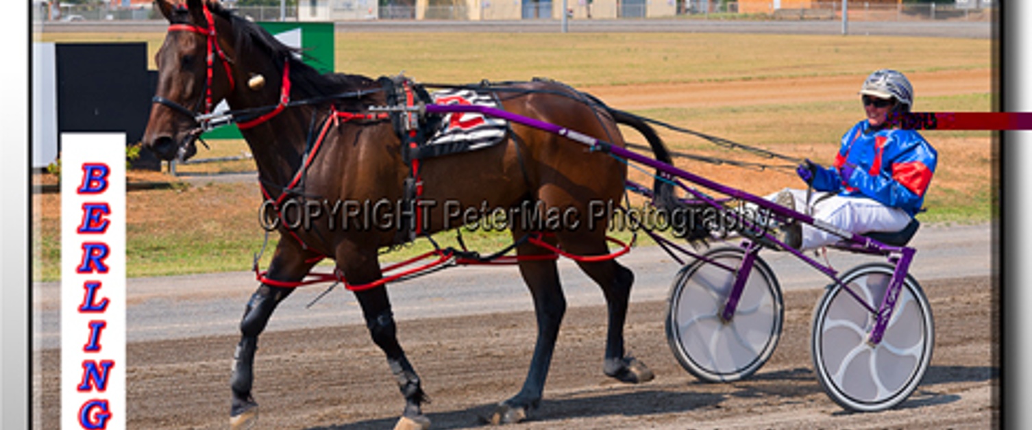 Race Meeting Report Thursday 28th November 2019