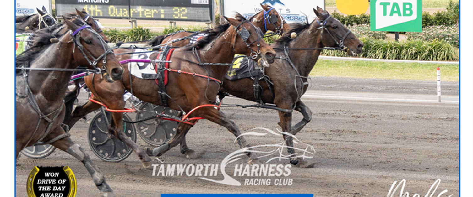 Race Meeting Report Thursday afternoon 9th October 2025