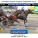 Race Meeting Report Thursday afternoon 9th October 2025