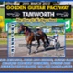 Race Meeting Report Thursday 20th March 2025