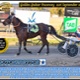 Race Meeting Report Thursday 21st September 2023