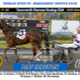 Race Meeting Report Thursday afternoon 9th July 2026