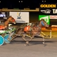 Hazells Local Pace 2020 won by OVERTHEMOON