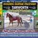 Race Meeting Report Thursday 7th August 2025
