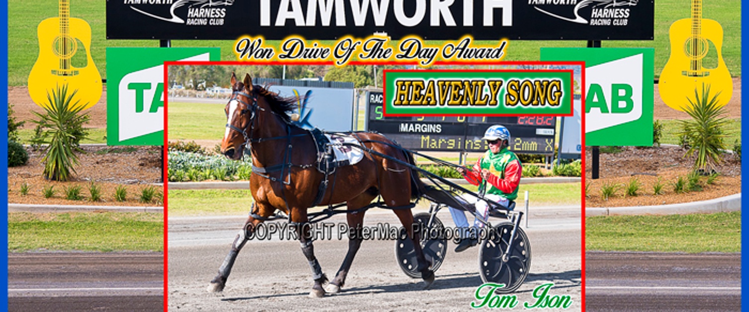 Race Meeting Report Thursday 19th September 2024