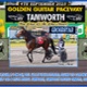 Race Meeting Report Thursday afternoon 4th September 2025