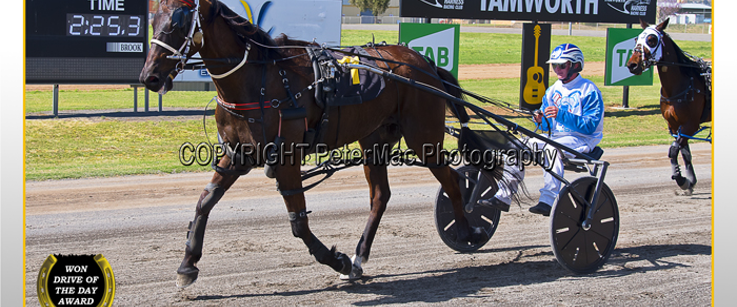 Race Meeting Report Thursday 17th September 2020