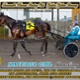 Race Meeting Report Thursday 3rd March 2022