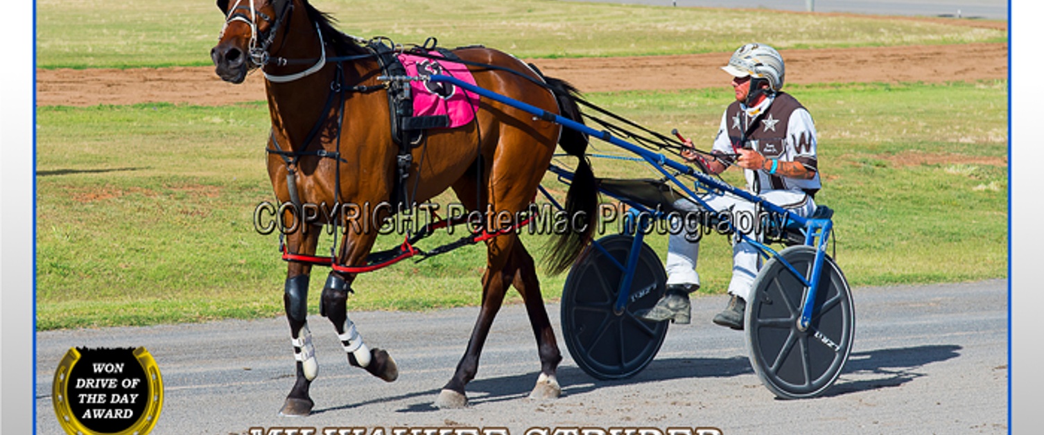 Race Meeting Report Thursday 22nd October 2020