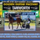 Race Meeting Report Thursday afternoon 18th September 2025