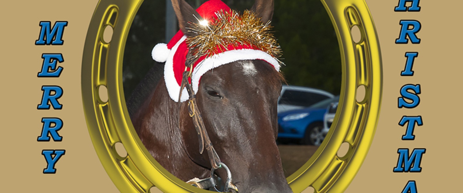 Race Meeting Report Friday 22nd December 2017