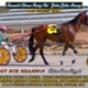 Race Meeting Report Thu 21st October 2021
