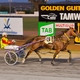 Garrards Tamworth City Cup 2020 won by GOTTASHOPEARLY