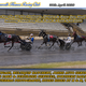 Race Meeting Report Thursday 30th April 2020