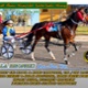 Race Meeting report Thursday 22nd July 2021