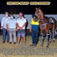 Race Meeting Report Tue 11th January 2022 - The Pub Group Gold Nugget