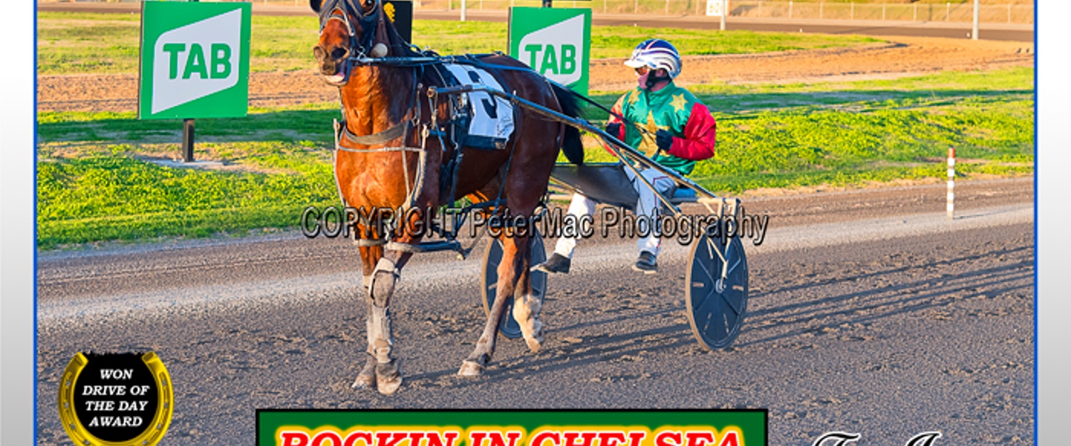 Race Meeting Report Thursday 18th August 2022