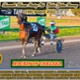 Race Meeting Report Thursday 18th August 2022